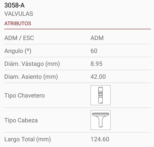 FORD TRANSIT 2.5 DIES 9X42X124 3R. 30º