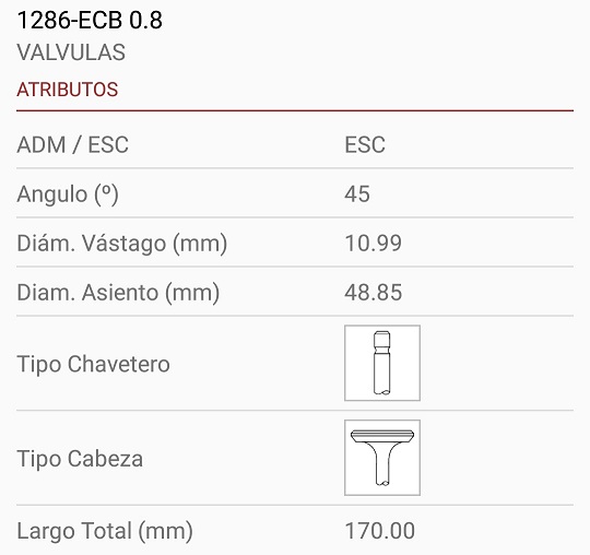 FIAT 619-N1 11X49X170 1R. 45º