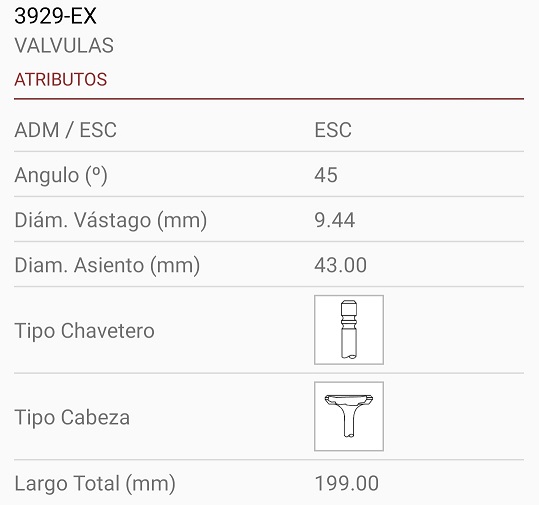 CATERPILLAR MOTOR 3126B 9X43X200 45º 3R.