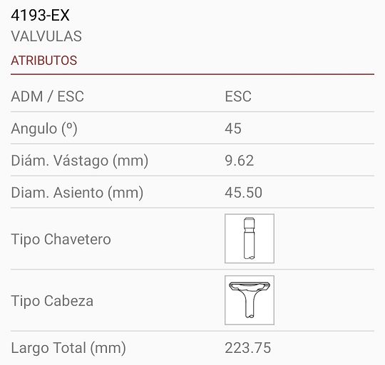 CUMMINS 15 Lts. ISX/QSX 24V TD 9.6X45.50X224 45º 1R