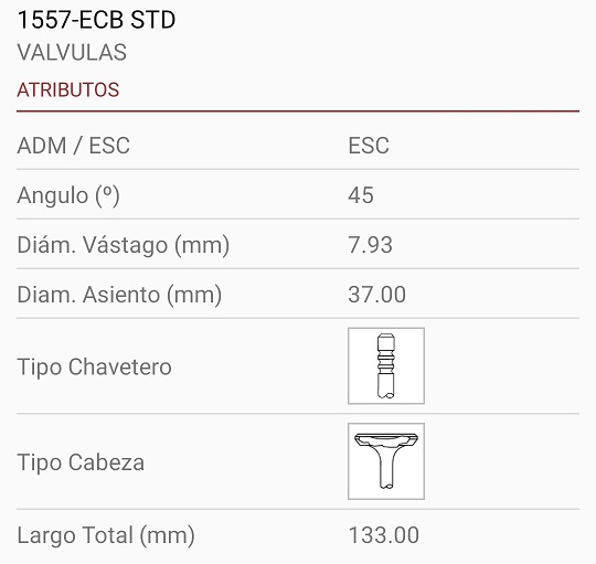 DEUTZ BF6 913 TURBO 8X37X133 3R 45°