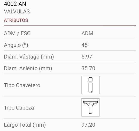 NISSAN QR25DE FRONTIER 2.5 16V 6X36X97 1R. 45º