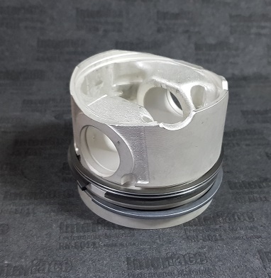 RENAULT  MEGANE SCENIC F8QT-1.9D C/LUBRICACION EN EL PERNO 26MM  -4CIL.-80MM