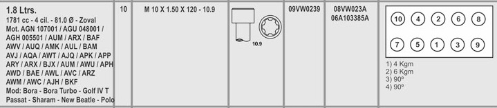 VOLKS. PASSAT BORA GOLF IV 1.8T 20V 10X1.50X120 (10) CAB. TORX HEMBRA