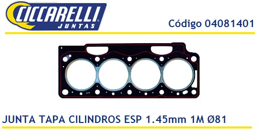 RENAULT MEGANE SENIC LAGUNA F9Q INYECCION  DIRECTA -1.45-1M-TC