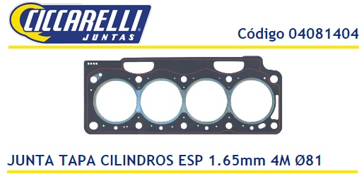 RENAULT MEGANE SENIC LAGUNA F9Q INYECCION  DIRECTA -1.65-4M-TC