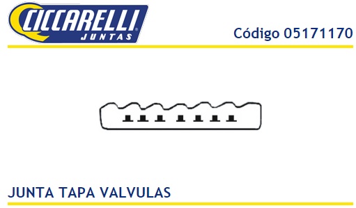 MWM SPRINT 6CIL 6.07 CHEVROLET SILVERADO BLAZER F100 - TV