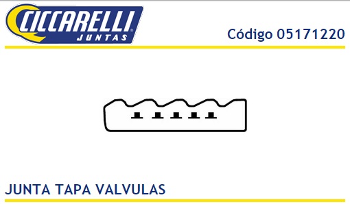 MWM SPRINT 2.8 12V 4CIL 4.07 TD-GM S10 BLAZER TURBO-TV
