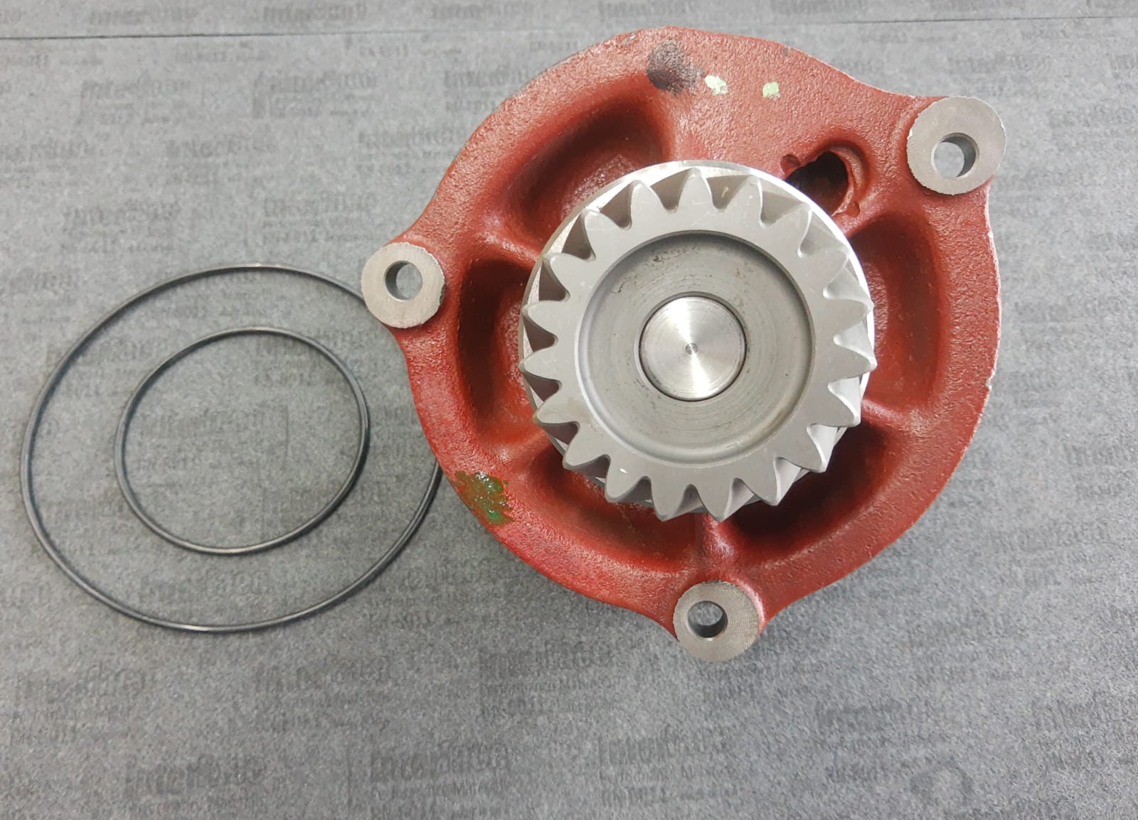 FIAT IVECO EUROTRAKER EUROTECH CUERPO E3Z 19 ORING A 16MM DE BASE