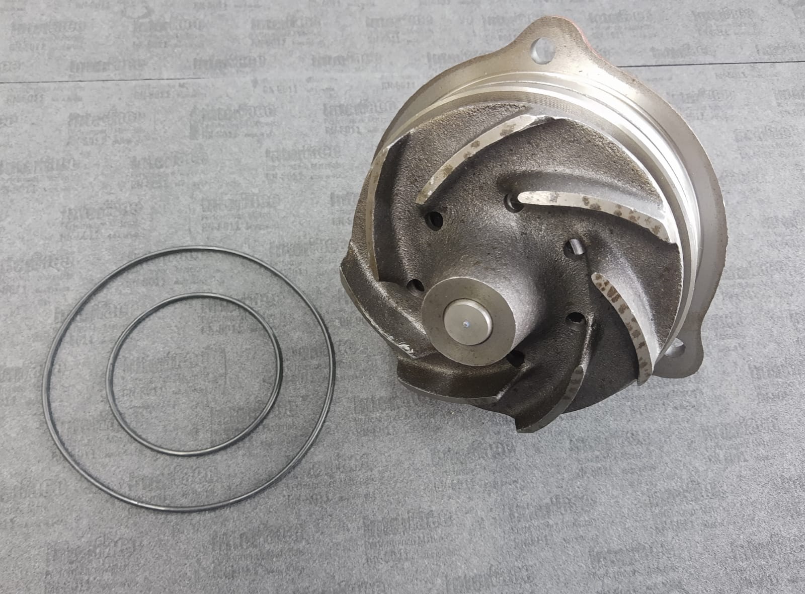 FIAT IVECO EUROTRAKER EUROTECH CUERPO E3Z 19 ORING A 16MM DE BASE