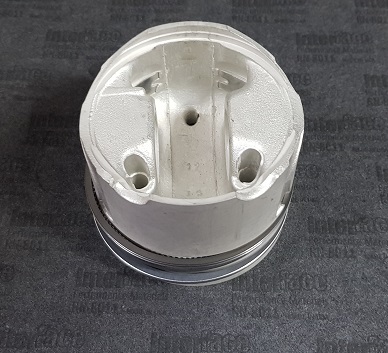 RENAULT  MEGANE SCENIC F8QT-1.9D C/LUBRICACION EN EL PERNO 26MM  -4CIL.-80MM