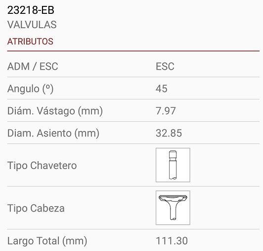 RENAULT CHAMADE F2N 19 1700 8X33X111 1R. 45º