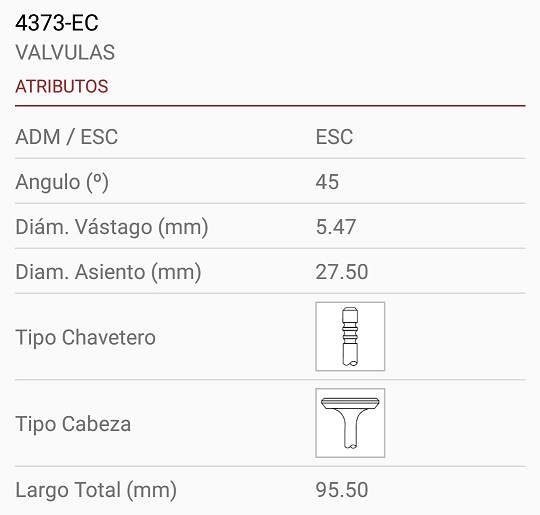 PEUGEOT DV6 1.6 8v HDI 308 / FORD FOCUS III 5.5X28X96 3R. 45º